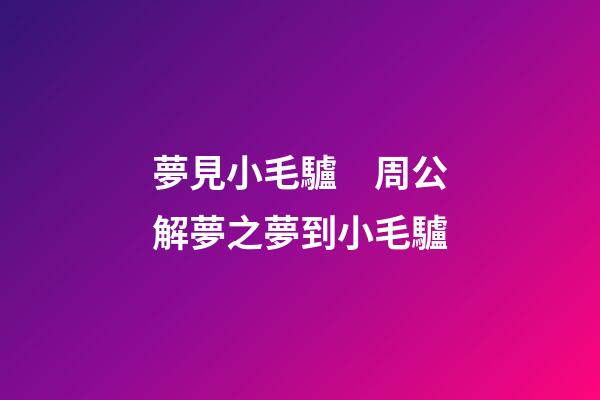 夢見小毛驢　周公解夢之夢到小毛驢